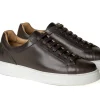 Sneakers Bassa Uomo Pelle Marrone